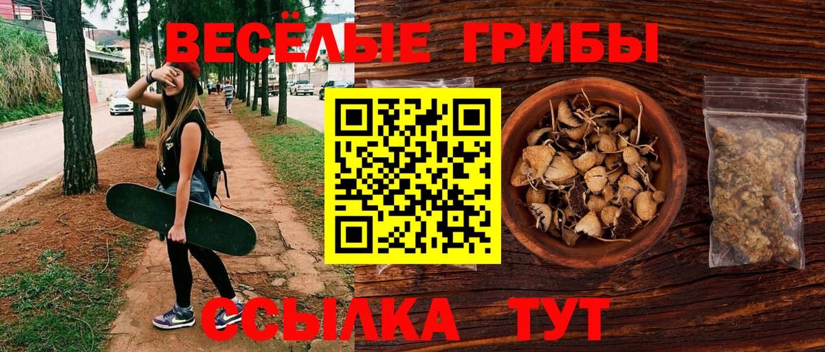 Сальск  Галлюциногенные грибы Cubensis  Вход с VPN 